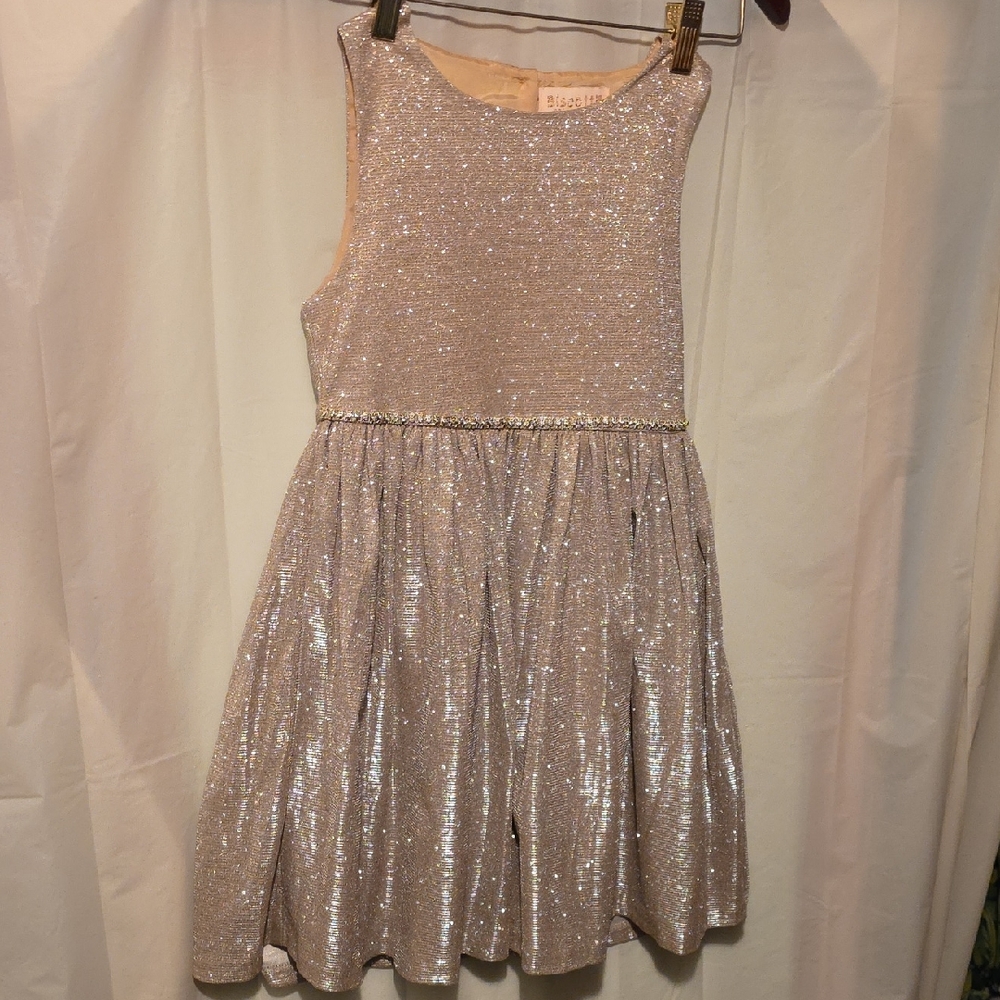 Biscotti Glittery Silver Dress